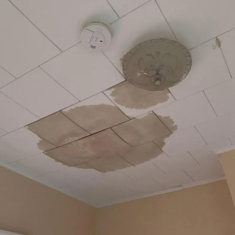 Ceiling Water Damage Repair in Southport, CT