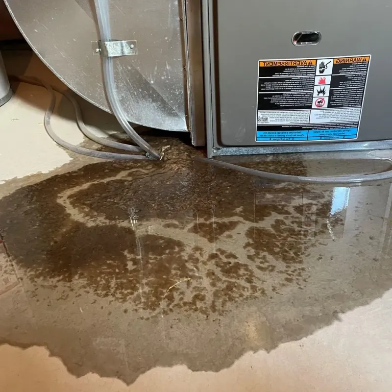 Pipe Burst and Leak Restoration in Southport, CT